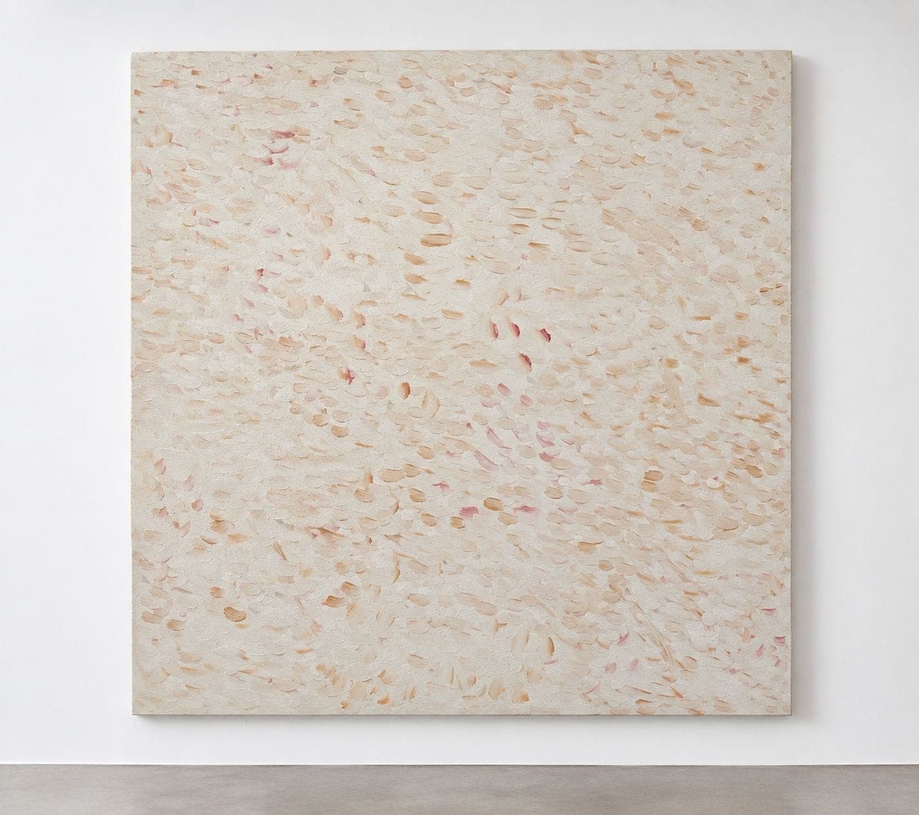 Untitled No. 70 — Oil on canvas, white and beige, 48 × 48 in, by Selin Salci