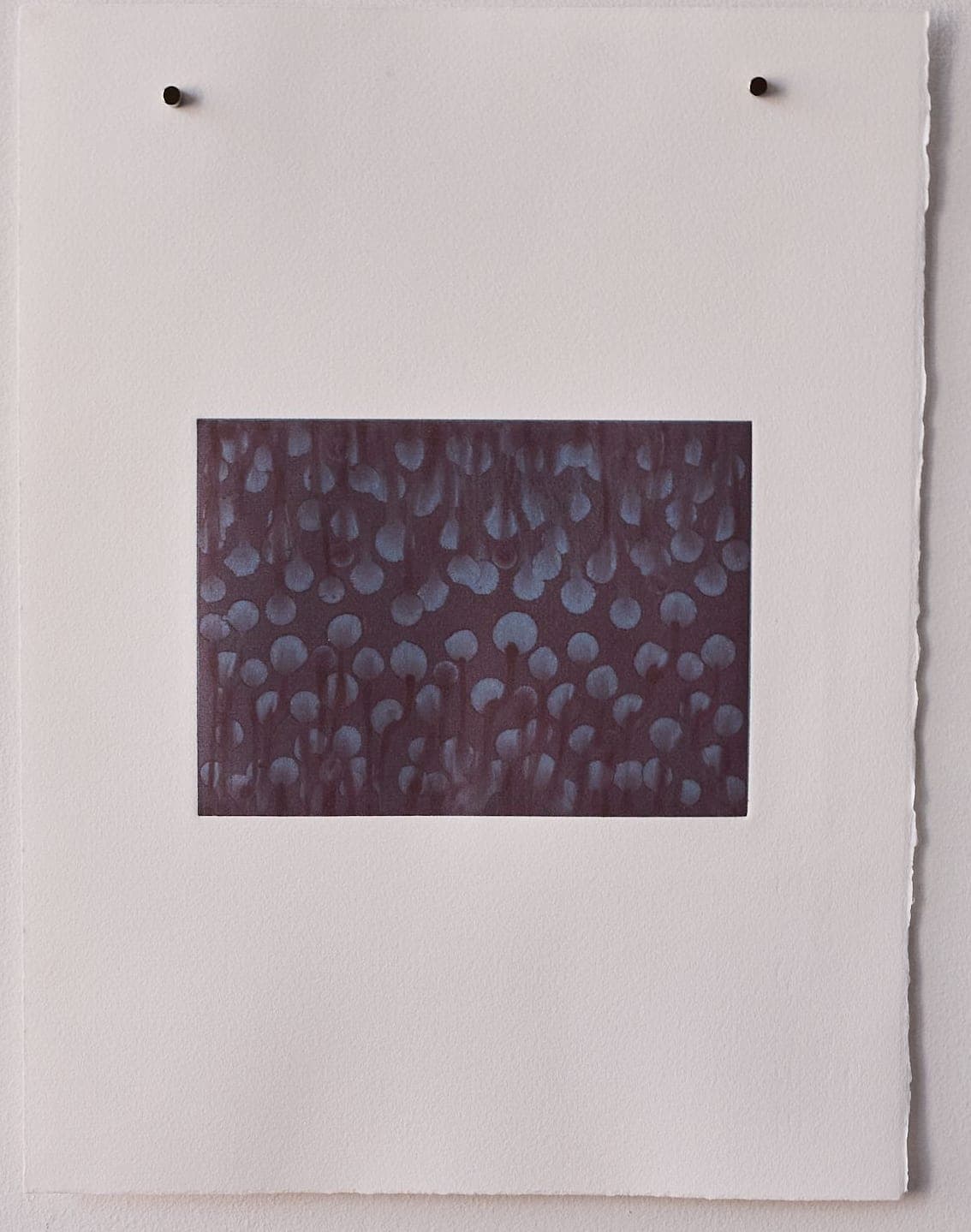Untitled No. 56 — Monotype, artwork on paper, dark blue, by Selin Salci
