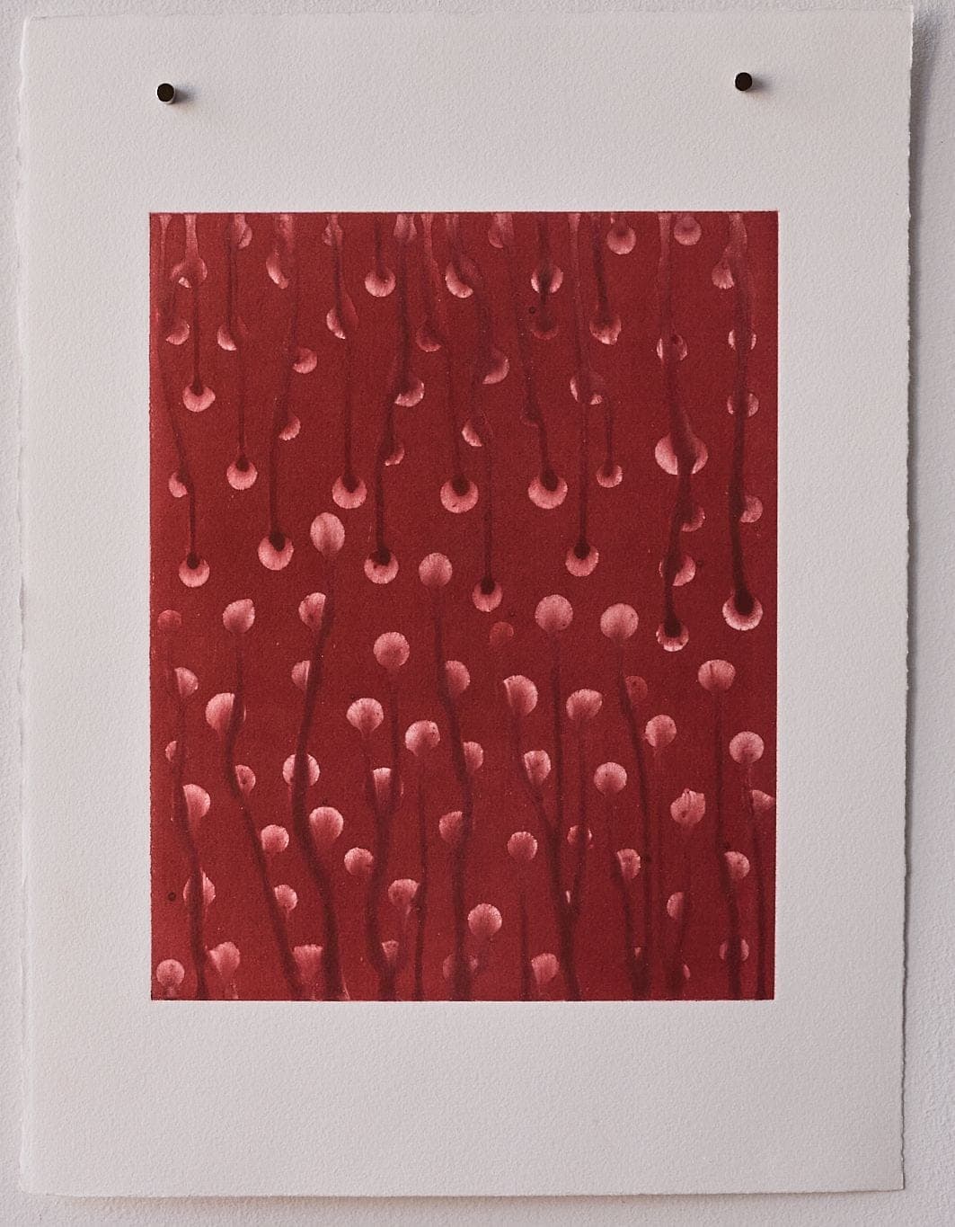 Untitled No. 46 — Monotype, artwork on paper, red, by Selin Salci