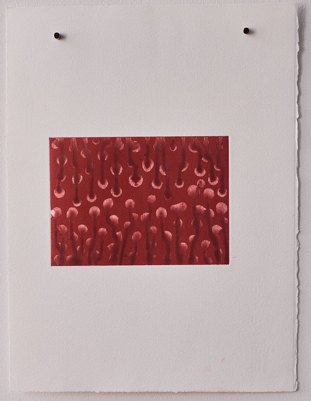 Untitled No. 58 — Monotype, artwork on paper, red, by Selin Salci